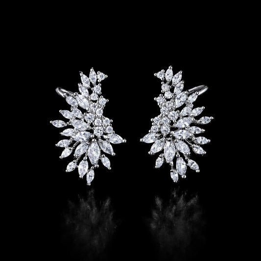 Silver earrings